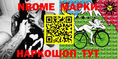 стафф Кингисепп