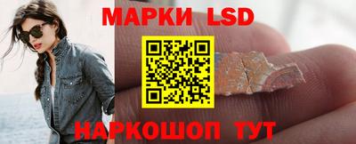 стафф Кингисепп