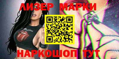 стафф Кингисепп