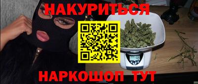 стафф Кингисепп