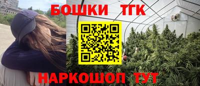 стафф Кингисепп