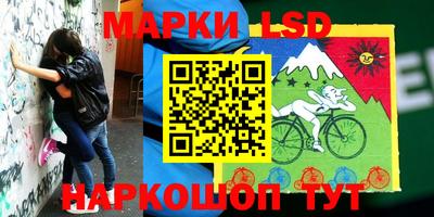 spice Кимры