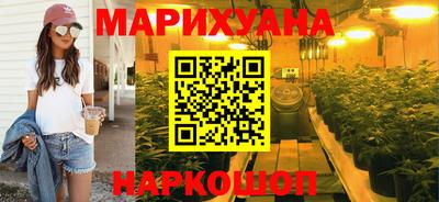стафф Кингисепп