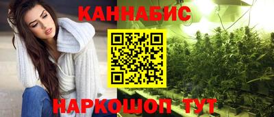 стафф Кингисепп