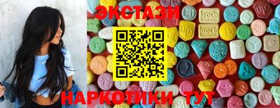 стафф Кингисепп